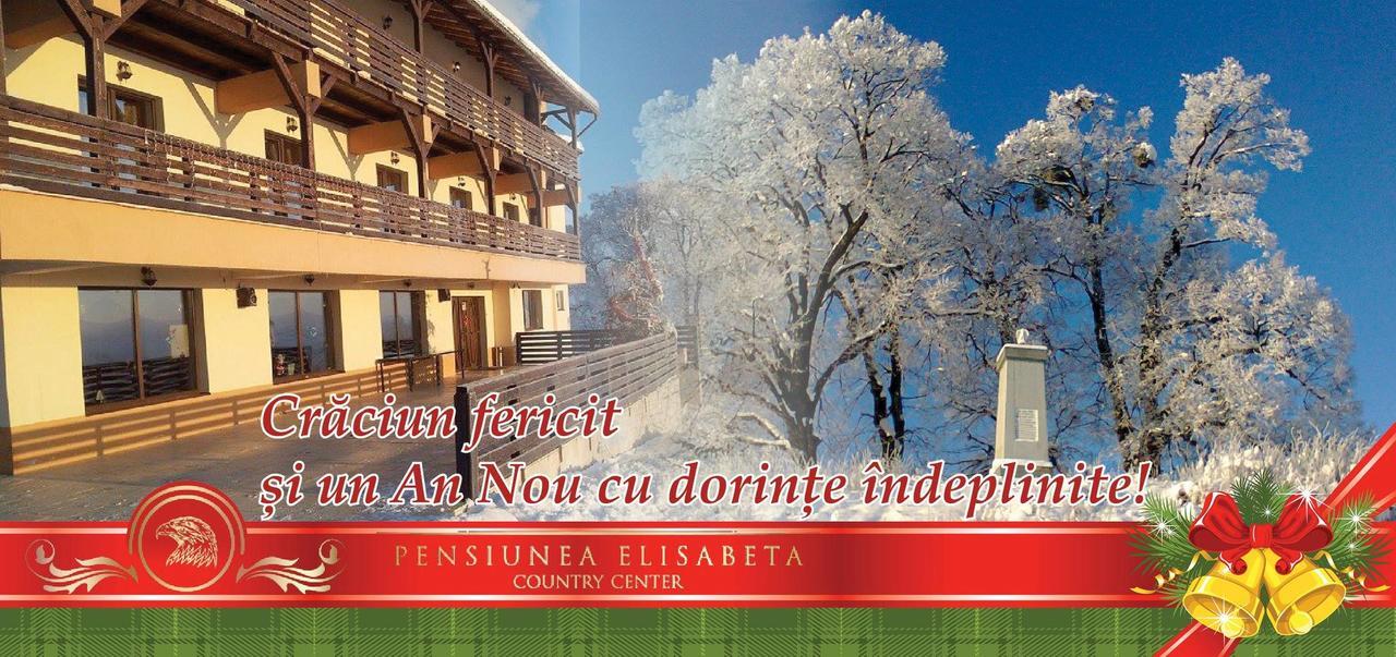 Pensiunea Elisabeta Merghindeal Extérieur photo